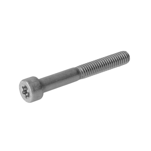 Cilinderschroef torx - ISO 14579 - Staal Elektrolytisch Verzinkt - 8.8